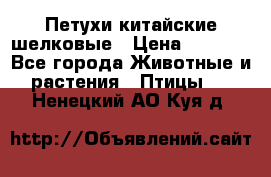 Петухи китайские шелковые › Цена ­ 1 000 - Все города Животные и растения » Птицы   . Ненецкий АО,Куя д.